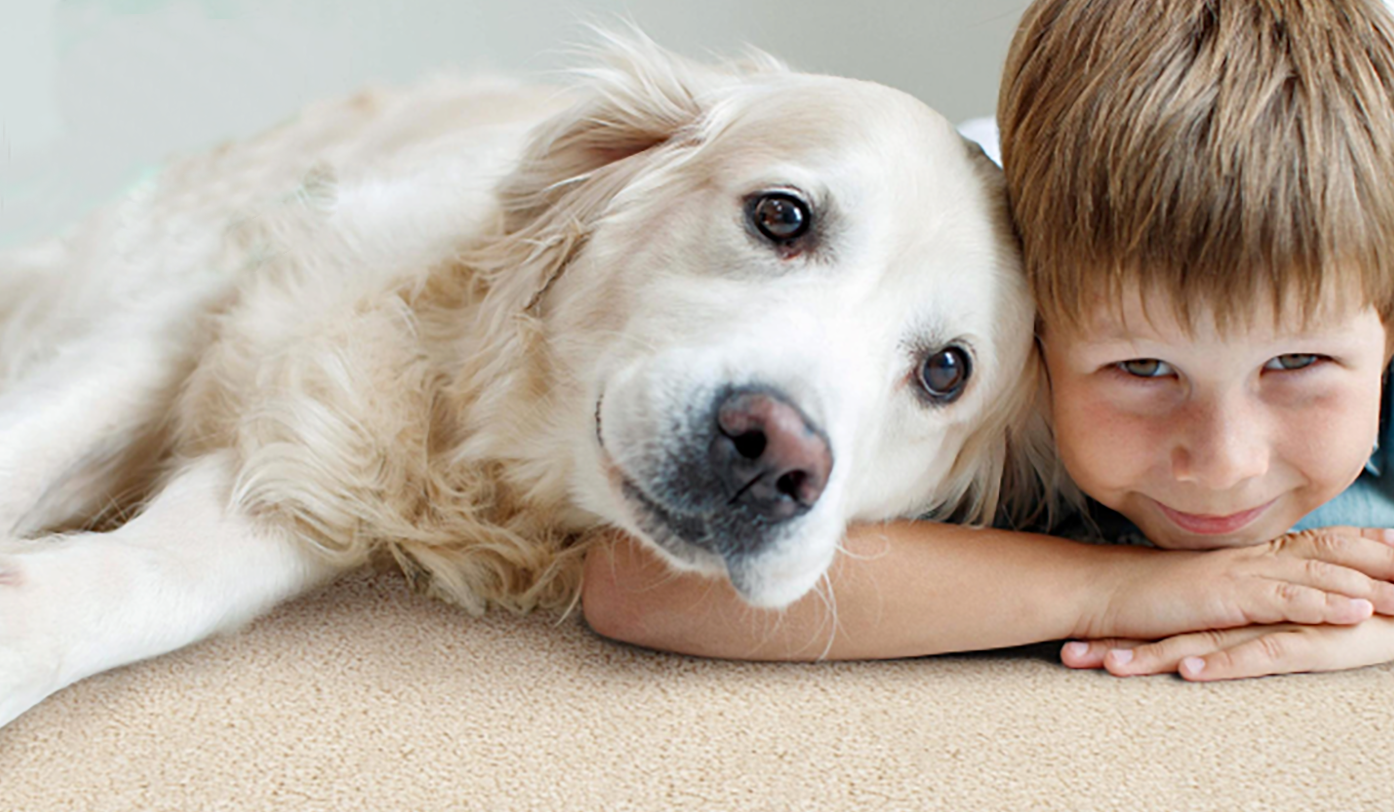 A Step Above: Performance Rugs