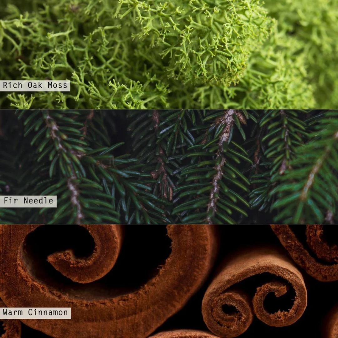 Balsam & Cedar Pinecone Votive Candle